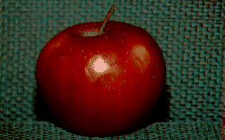 newtek digitizer Digi-View apple Color Photo
