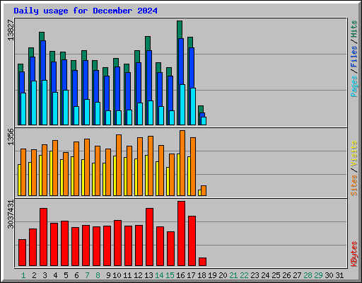 Daily usage for December 2024