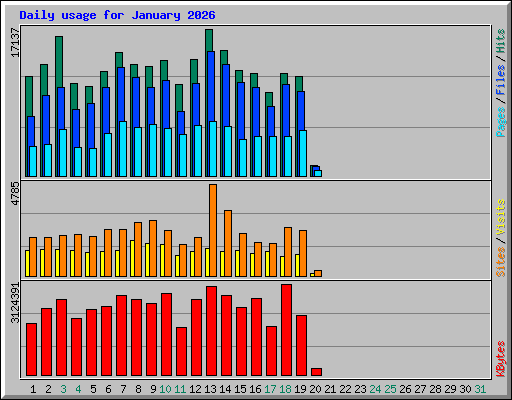 Daily usage for January 2026