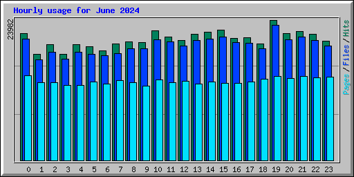 Hourly usage for June 2024