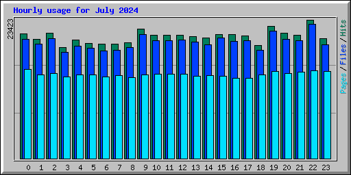 Hourly usage for July 2024