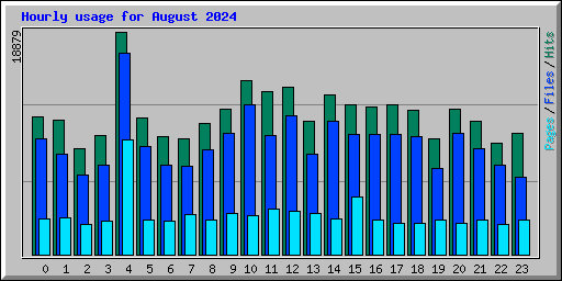 Hourly usage for August 2024