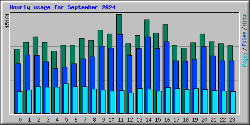 Hourly usage for September 2024