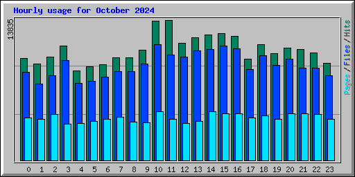 Hourly usage for October 2024