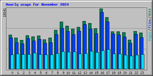 Hourly usage for November 2024