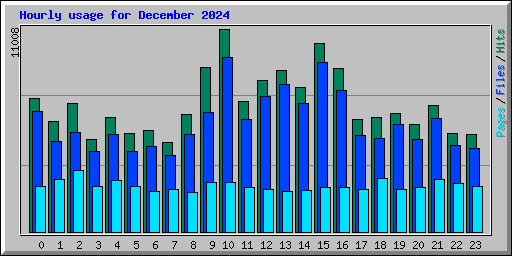 Hourly usage for December 2024