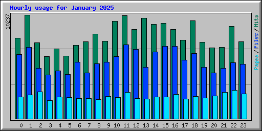 Hourly usage for January 2025