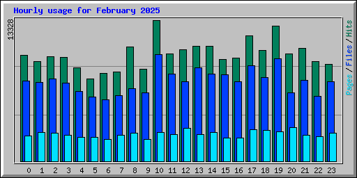 Hourly usage for February 2025