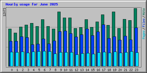 Hourly usage for June 2025