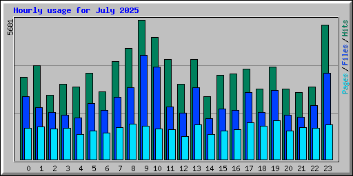 Hourly usage for July 2025