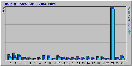 Hourly usage for August 2025
