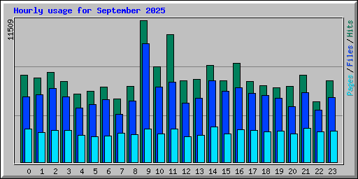 Hourly usage for September 2025
