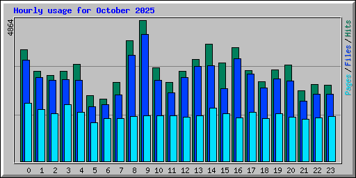 Hourly usage for October 2025