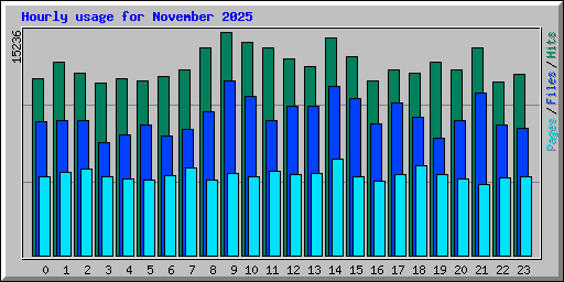 Hourly usage for November 2025