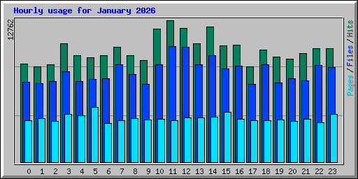Hourly usage for January 2026