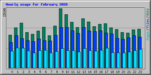 Hourly usage for February 2026