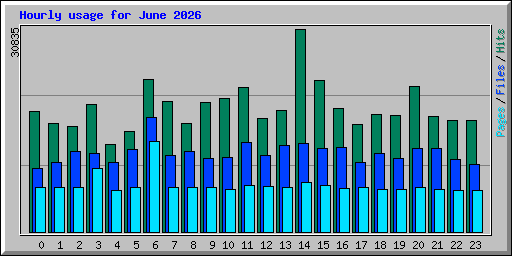 Hourly usage for June 2026